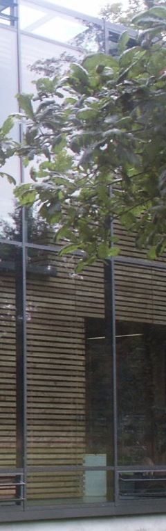 Raesfeld. Foto A.A.Bispo 2008. Copyright