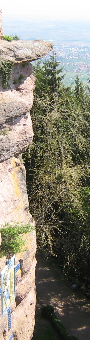 Alsacia. Foto A.A.Bispo 2009. Copyright