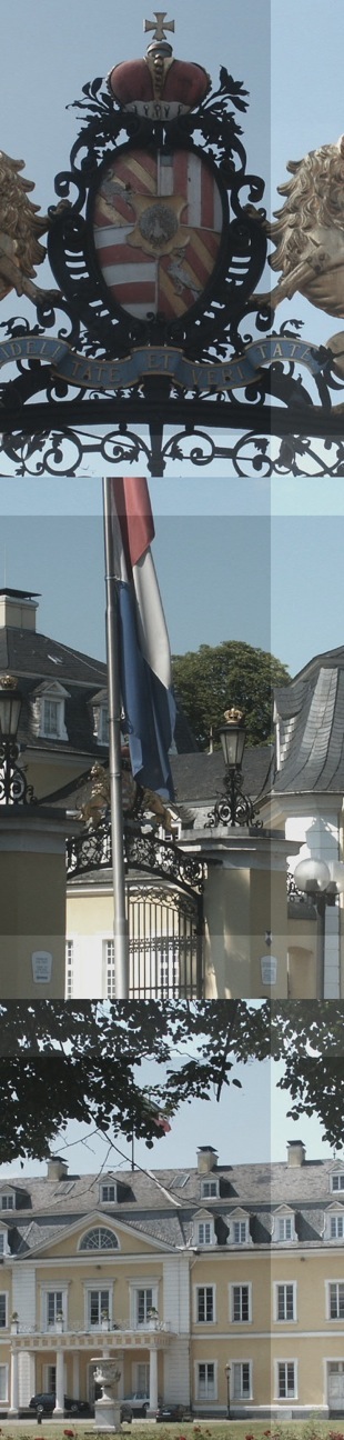 Wied. Foto A.A.Bispo 2009. Copyright