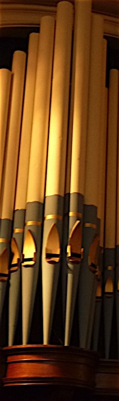 Orgao Halifax.A.A.Bispo©