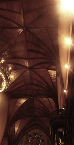 Harvard.Boston. A.A.Bispo©