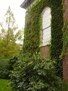 Harvard.Boston. A.A.Bispo©