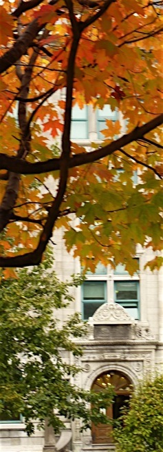 McGill University, Montreal. Foto A.A.Bispo©