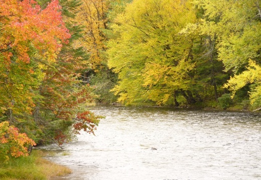 Laurentides, Canada.Foto A.A.Bispo©