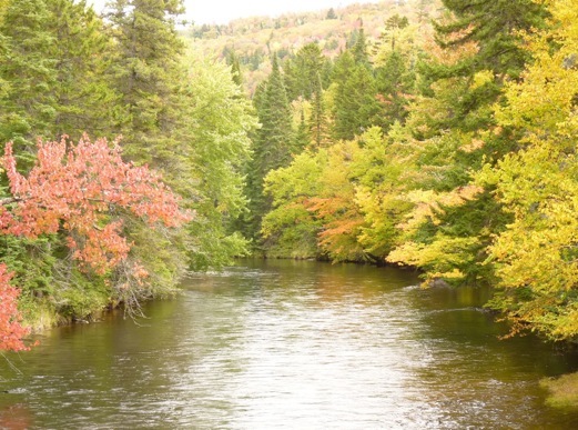 Laurentides, Canada.Foto A.A.Bispo©