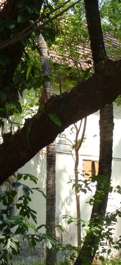 Mattancherry. Cochim. Foto A.A.Bispo