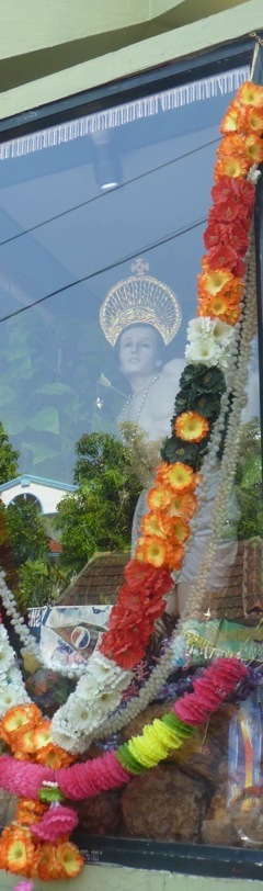 Edappaly. Kerala.Foto A.A.Bispo