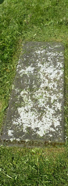 Saurbaer. Islândia. Foto A.A.Bispo