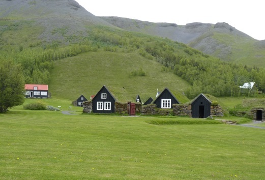 Skogar. Islândia. Foto A.A.Bispo