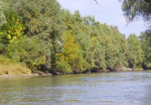 Delta do Danúbio