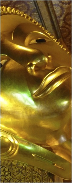 Bangkok. Ciclo Tailandia-Brasil A.B.E.