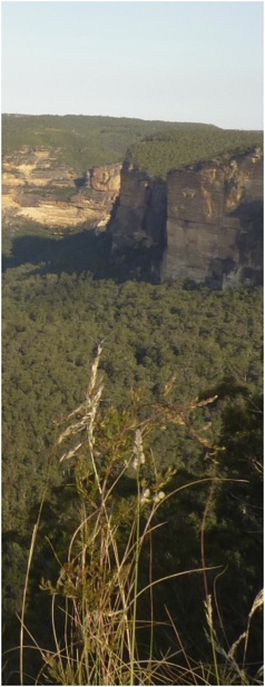 Blue Mountains. Foto A.A.Bispo ©