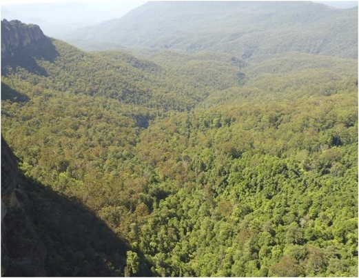 Blue Mountains. Foto A.A.Bispo ©