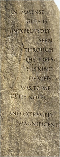 Blue Mountains. Foto A.A.Bispo ©