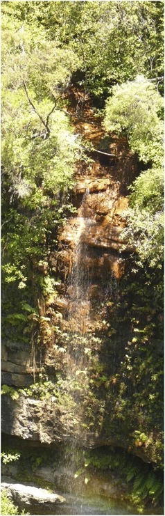 Blue Mountains. Foto A.A.Bispo ©