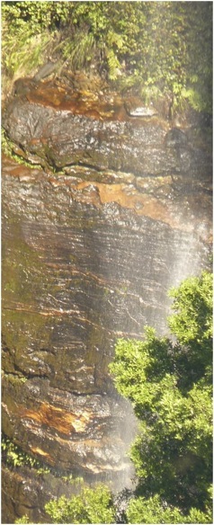 Blue Mountains. Foto A.A.Bispo ©