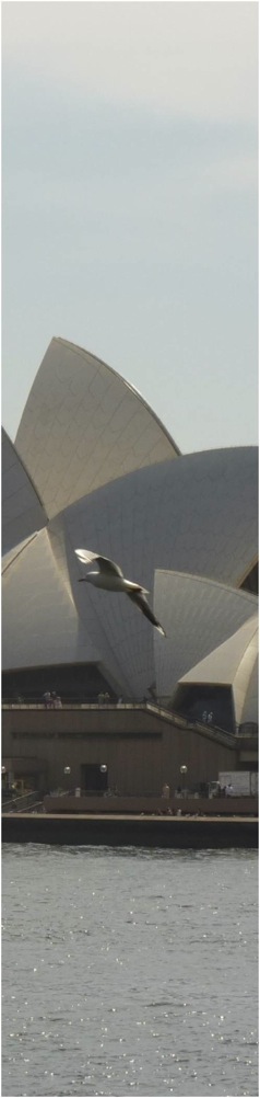 Opera de Sydney. Foto A.A.Bispo ©