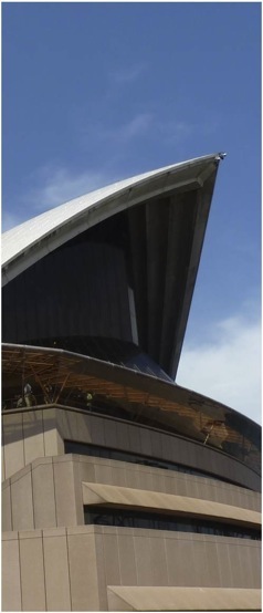 Opera de Sydney. Foto A.A.Bispo ©