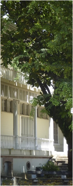 Biblioteca Bernheim, Noumea. Foto A.A.Bispo ©