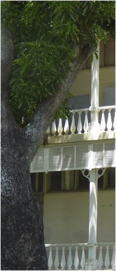 Biblioteca Bernheim, Noumea. Foto A.A.Bispo ©