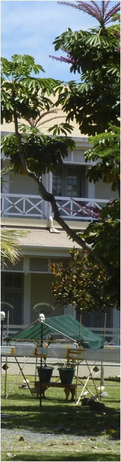 Biblioteca Bernheim, Noumea. Foto A.A.Bispo ©
