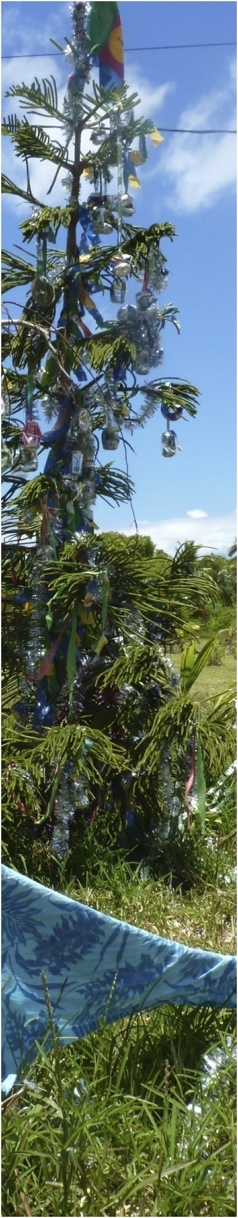 Lifou. Foto A.A.Bispo ©