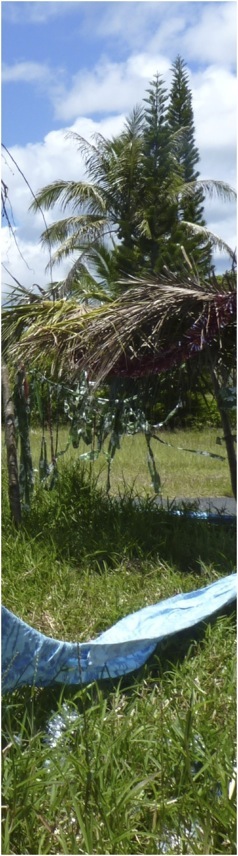 Lifou. Foto A.A.Bispo ©