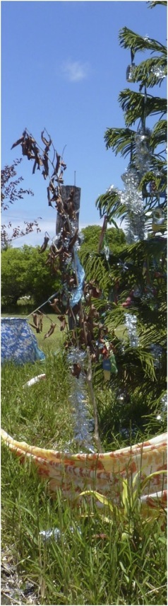 Lifou. Foto A.A.Bispo ©