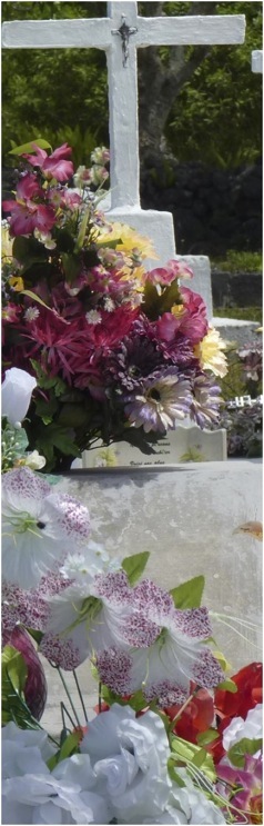 Lifou. Foto A.A.Bispo ©