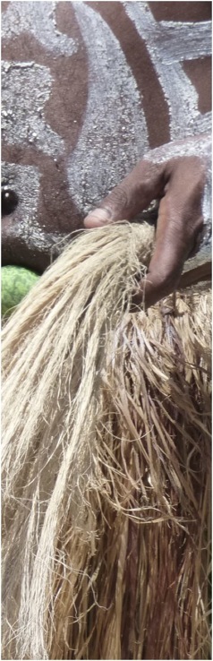 Dança de guerreiros. Ile des Pins. Foto A.A.Bispo ©