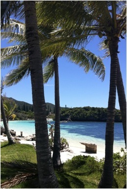 Ile des Pins. Foto A.A.Bispo ©