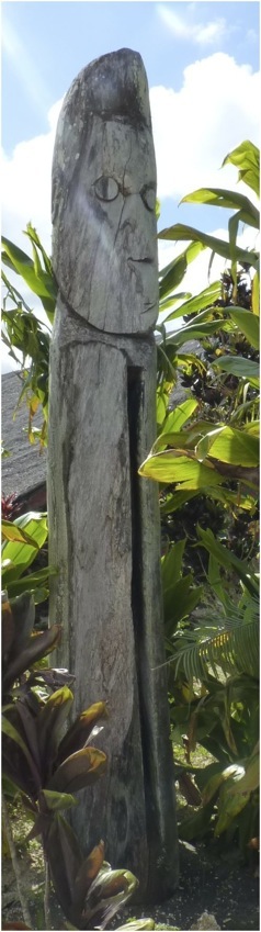 Vanuatu. Foto A.A.Bispo ©