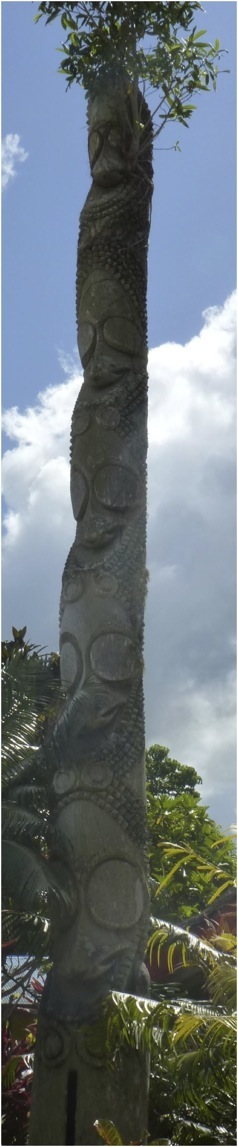 Vanuatu. Foto A.A.Bispo ©