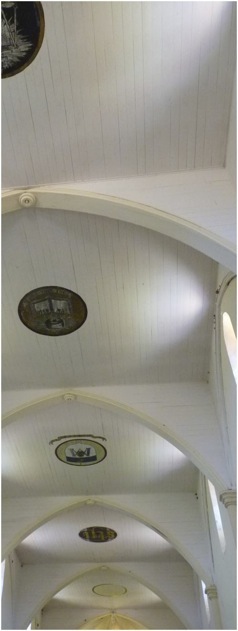 Nathalo. Foto A.A.Bispo ©