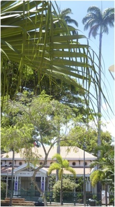 Biblioteca de Nouméa.Fotos A.A.Bispo©