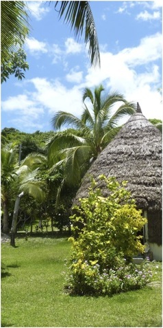 Nova Caledonia. Foto A.A.Bispo©