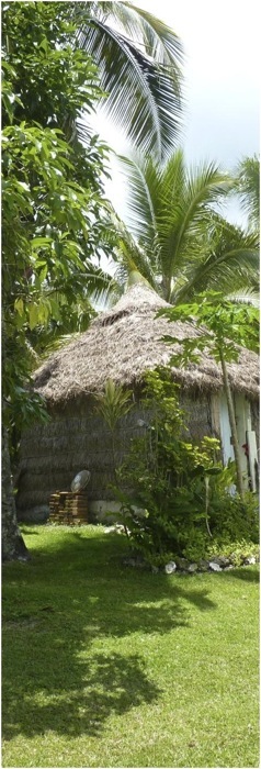 Nova Caledonia. Foto A.A.Bispo©