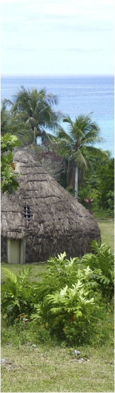 Nova Caledonia. Foto A.A.Bispo©