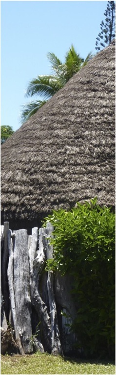 Nova Caledonia. Foto A.A.Bispo©