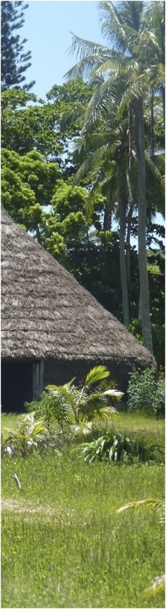 Nova Caledonia. Foto A.A.Bispo©