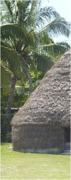 Nova Caledonia. Foto A.A.Bispo©