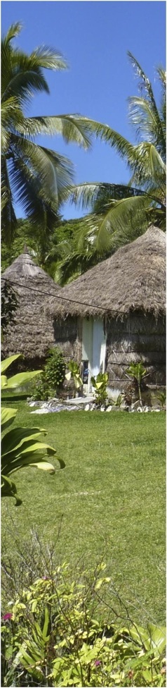 Nova Caledonia. Foto A.A.Bispo©