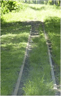 Fiji.Foto A.A.Bispo©