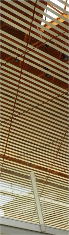 Aeroporto de Beijing. Foto A.A.Bispo©