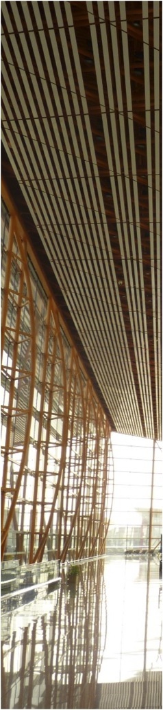 Aeroporto de Beijing. Foto A.A.Bispo©