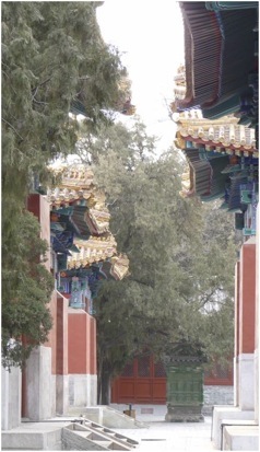 Templo de Confúcio, Beijing. Foto A.A.Bispo©
