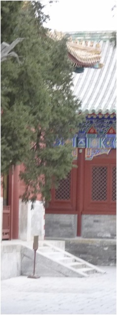 Templo de Confúcio, Beijing. Foto A.A.Bispo©