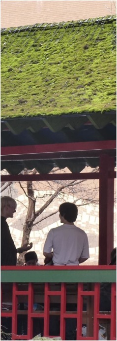 China Town Manchester. Foto A.A.Bispo©