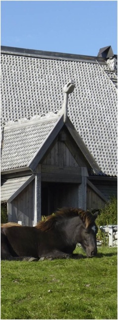 Foto A.A.Bispo, Borg, Lofotes©