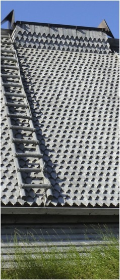 Foto A.A.Bispo, Borg, Lofotes©